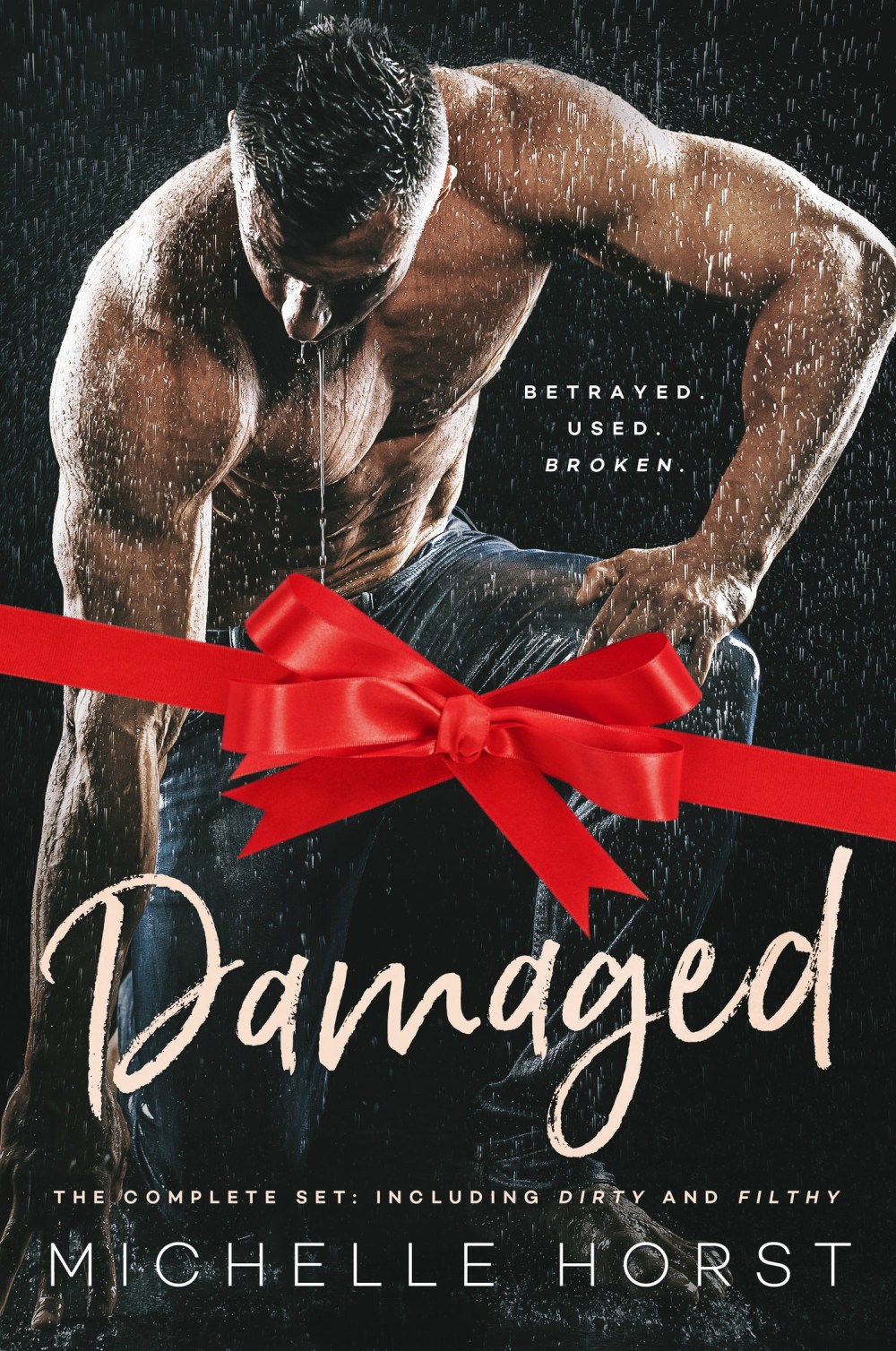 MHDamagedBookCover6x9_xmas (1)